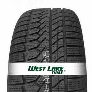 Westlake SW628 EU FRIKTION