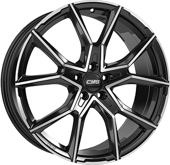 CMS CMS C33