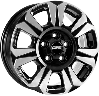 CMS C31 6x120